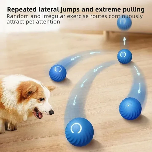 Active Rolling Ball for Dogs – Automatic Moving Toy to Reduce Anxiety and Promote Play 0