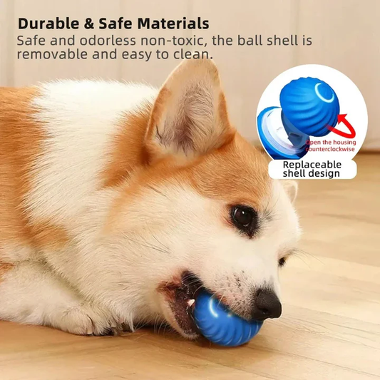 Active Rolling Ball for Dogs – Automatic Moving Toy to Reduce Anxiety and Promote Play 1