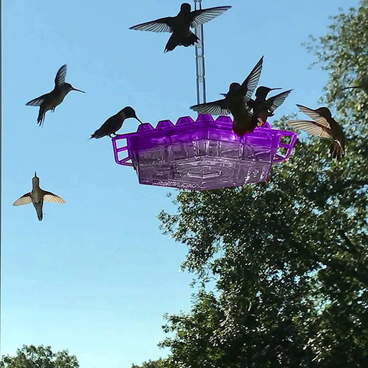 Ant-Proof Hummingbird Feeder with 30 Feeding Ports – Durable Outdoor Nectar Dispenser for Easy Access and Cleaning 0