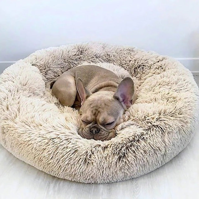 Calming Washable Dog Bed Cushion – Ultra-Soft Plush with Orthopedic Support for All Breeds 0