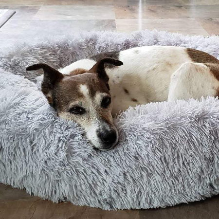 Calming Washable Dog Bed Cushion – Ultra-Soft Plush with Orthopedic Support for All Breeds 4