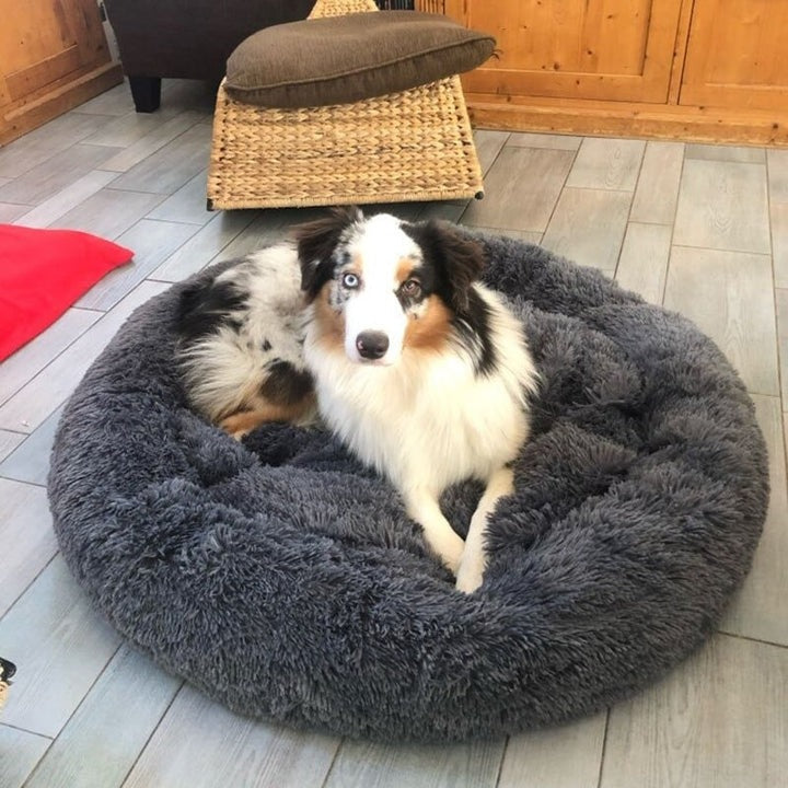 Calming Washable Dog Bed Cushion – Ultra-Soft Plush with Orthopedic Support for All Breeds 7