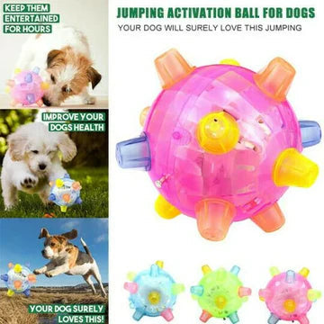 Interactive LED Jumping Ball for Dogs – Colorful, Safe, and Stimulating Dog Toy 4