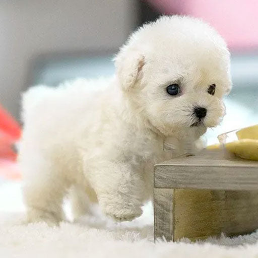 Interactive Plush Robot Puppy Toy with Realistic Movements and Sounds – Eco-Friendly Plush Companion for All Ages 1