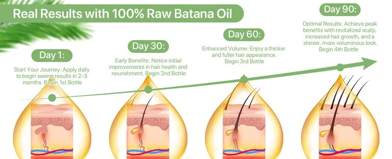 Organic Raw Batana Hair Growth Oil with Vitamin E, Rosemary & Eucalyptus – Nourishing Elixir for Healthy Hair Growth and Strength 4