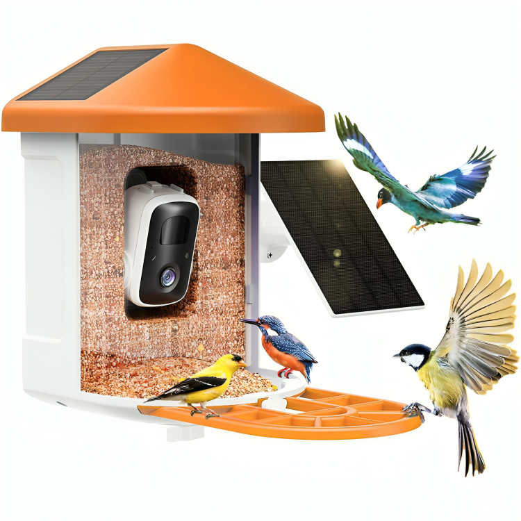 Smart Bird Feeder Camera with Solar Power – 2K HD, AI Recognition, Weatherproof Design 2