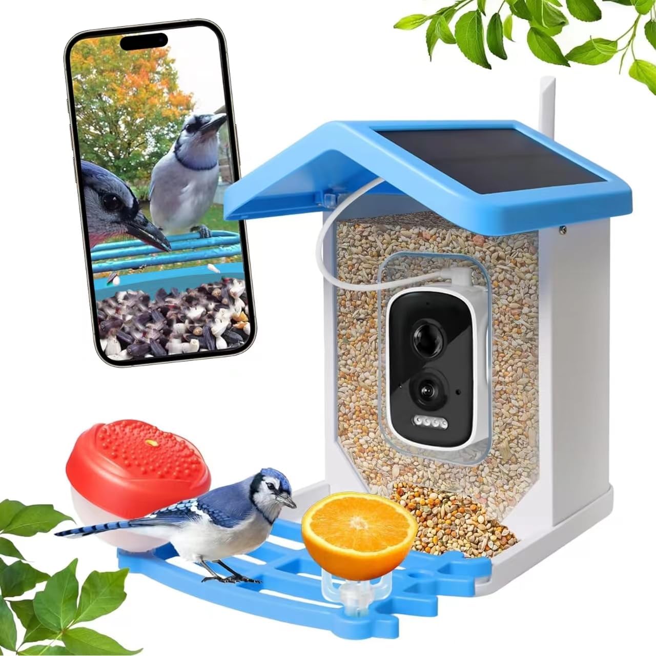 Smart Wireless Bird Feeder Camera with Solar Power and Night Vision 2