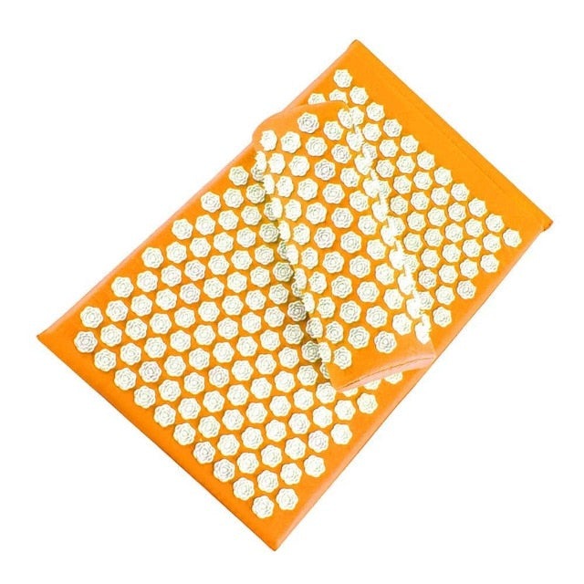 TRUZENIC Acupressure Yoga Mat