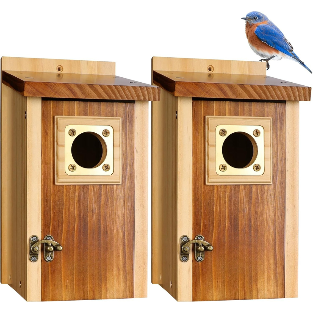 Wooden Cedar Bird House with Copper Predator Guard – Durable Outdoor Nesting Box for Bluebirds and Wrens 3