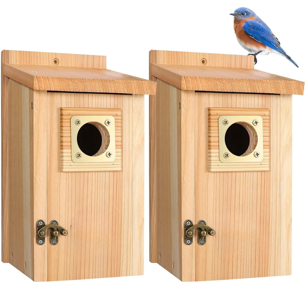 Wooden Cedar Bird House with Copper Predator Guard – Durable Outdoor Nesting Box for Bluebirds and Wrens 4