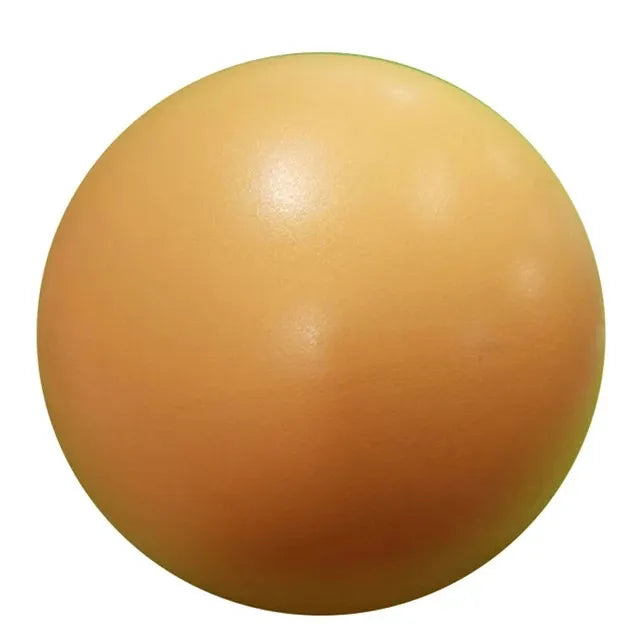 TRUZENIC 25cm Yoga Ball – Pilates, Core Balance & Fitness Training Exercise Ball