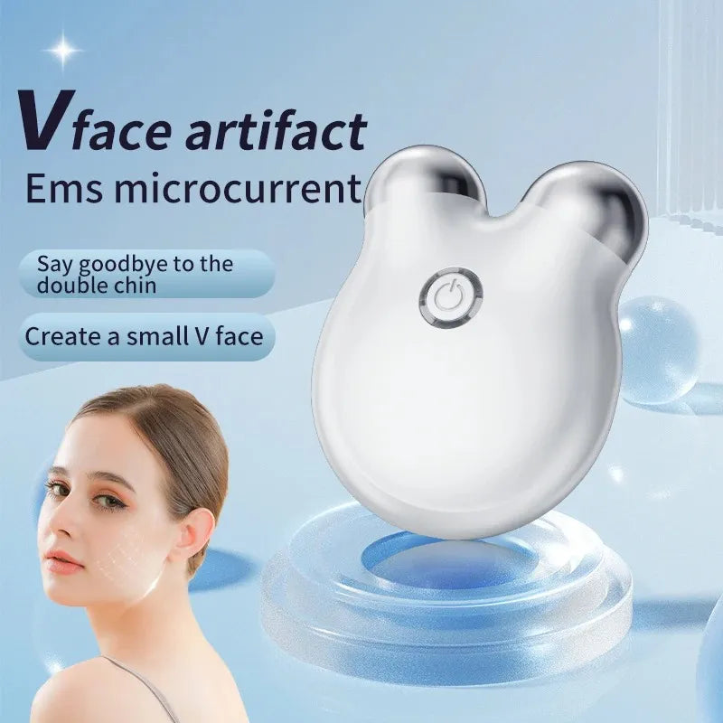 EMS Facial Massager – Portable Microcurrent Beauty Tool with Dual Rollers for Daily Skincare-TRUZENIC