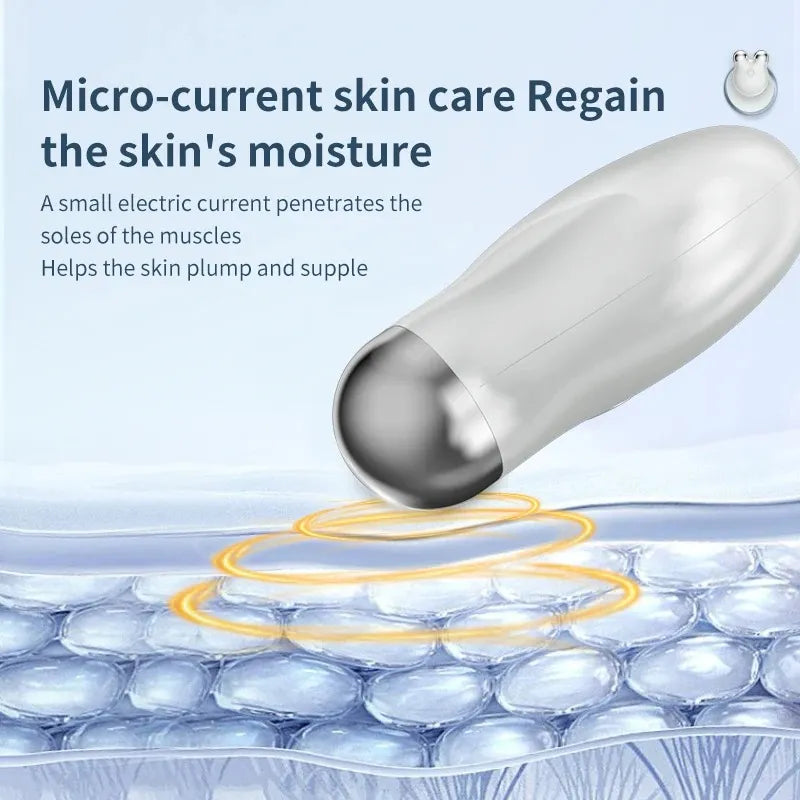 EMS Facial Massager – Portable Microcurrent Beauty Tool with Dual Rollers for Daily Skincare-TRUZENIC