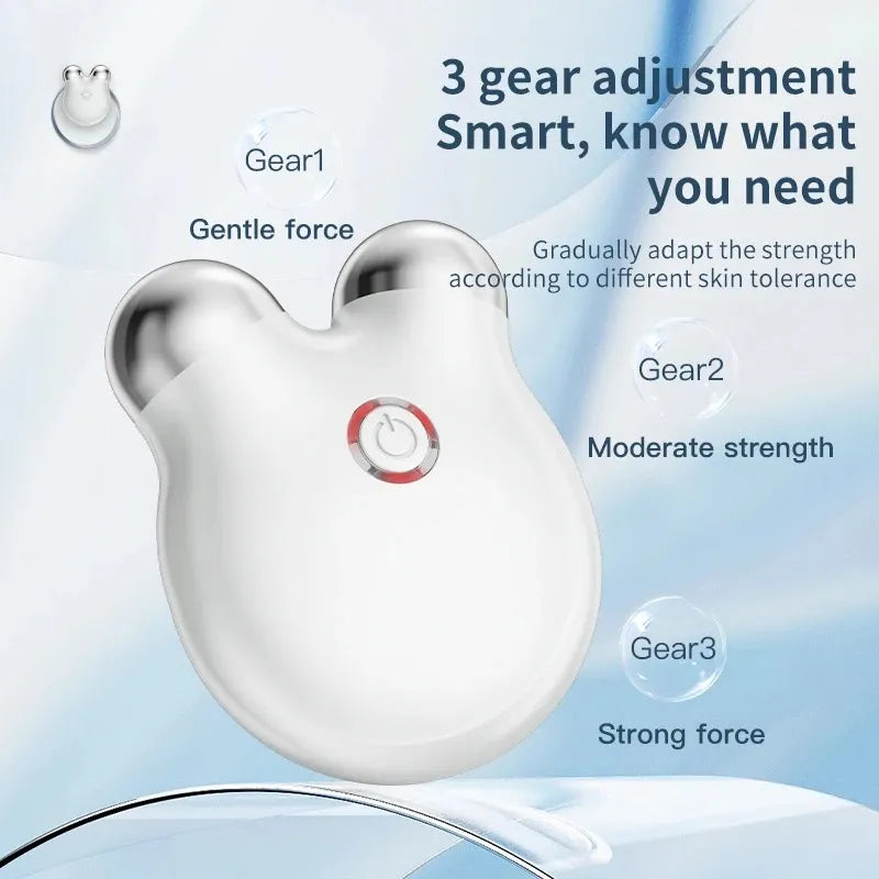 EMS Facial Massager – Portable Microcurrent Beauty Tool with Dual Rollers for Daily Skincare-TRUZENIC