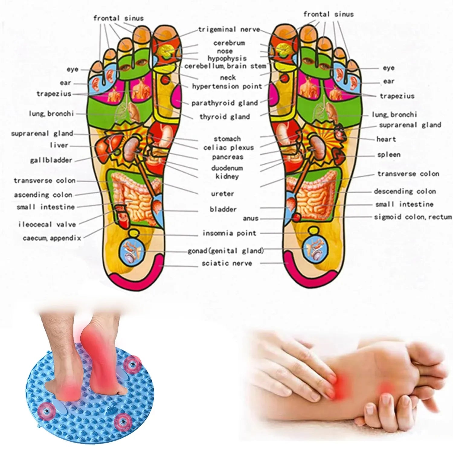 Foot Massage Mat – Walking Pad with Magnetic Discs & Pressure Point Design-TRUZENIC