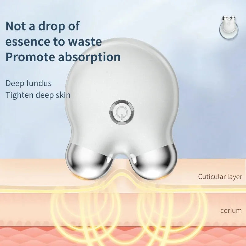 EMS Facial Massager – Portable Microcurrent Beauty Tool with Dual Rollers for Daily Skincare-TRUZENIC