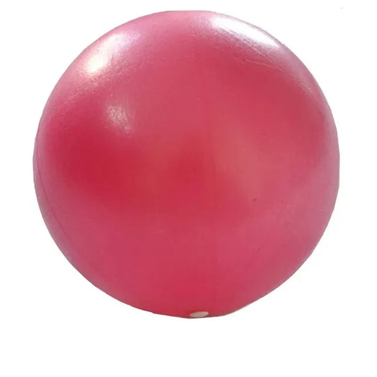 TRUZENIC 25cm Yoga Ball – Pilates, Core Balance & Fitness Training Exercise Ball