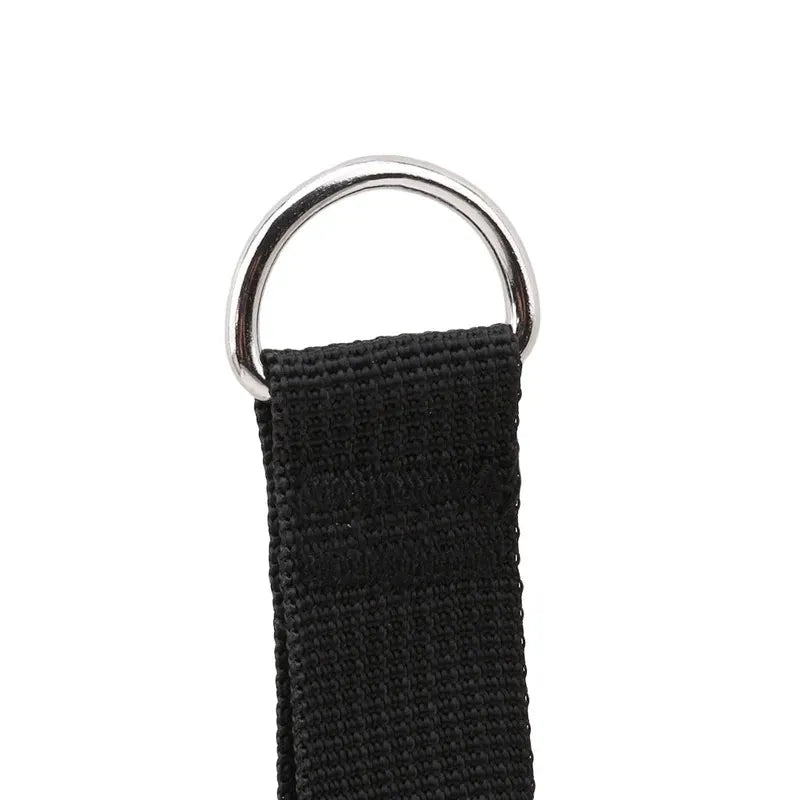 TRUZENIC Pull Rope Grip Handles – Exercise Band & Yoga Hammock Fitness Accessories (1 Pair)
