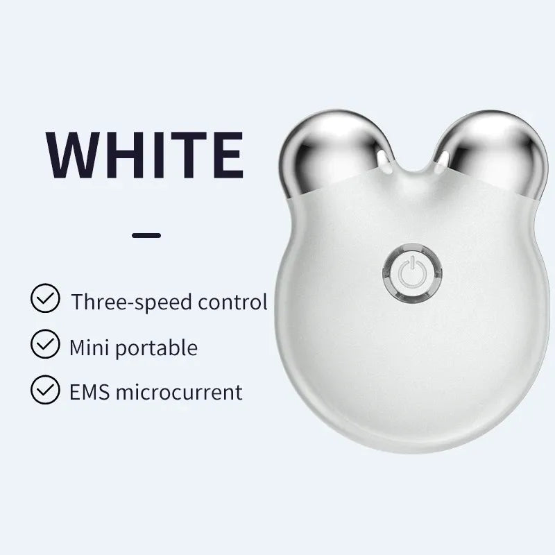 EMS Facial Massager – Portable Microcurrent Beauty Tool with Dual Rollers for Daily Skincare-TRUZENIC