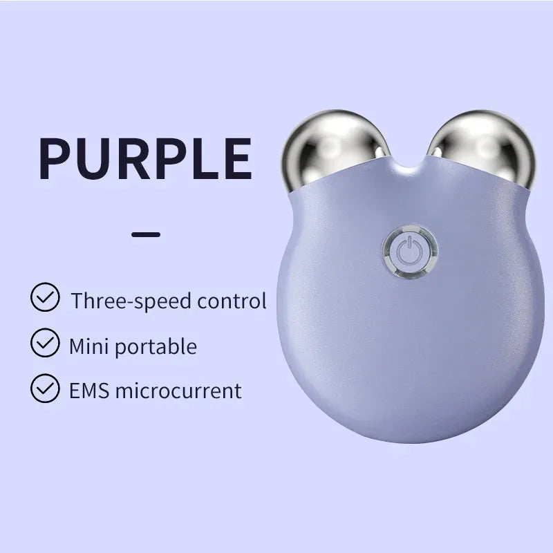 EMS Facial Massager – Portable Microcurrent Beauty Tool with Dual Rollers for Daily Skincare-TRUZENIC