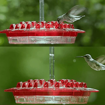 Ant-Proof Hummingbird Feeder with 30 Feeding Ports – Durable Outdoor Nectar Dispenser for Easy Access and Cleaning 3