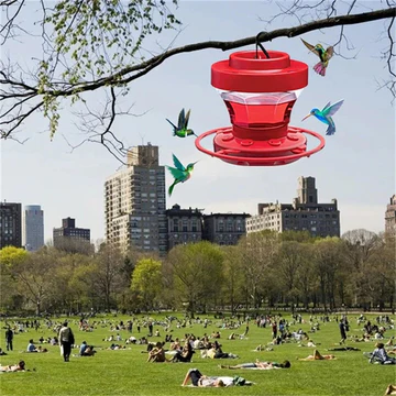 Hanging Hummingbird Feeder with Ant Guard, 16 Ounce Capacity, Leakproof Design and Multiple Feeding Ports 1