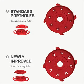 Hanging Hummingbird Feeder with Ant Guard, 16 Ounce Capacity, Leakproof Design and Multiple Feeding Ports 4