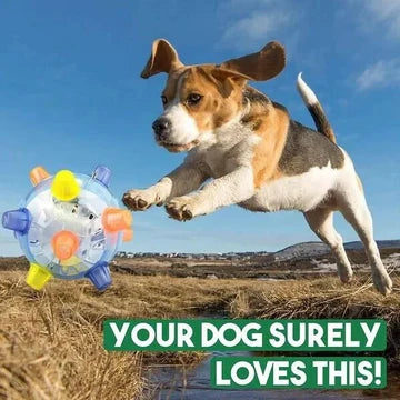 Interactive LED Jumping Ball for Dogs – Colorful, Safe, and Stimulating Dog Toy 1