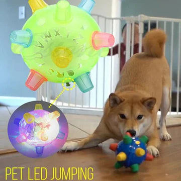 Interactive LED Jumping Ball for Dogs – Colorful, Safe, and Stimulating Dog Toy 2
