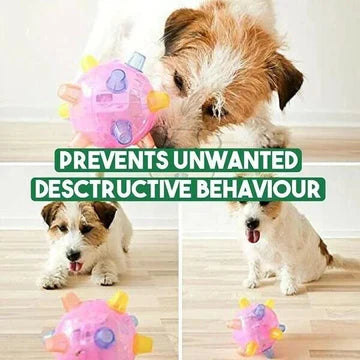 Interactive LED Jumping Ball for Dogs – Colorful, Safe, and Stimulating Dog Toy 3