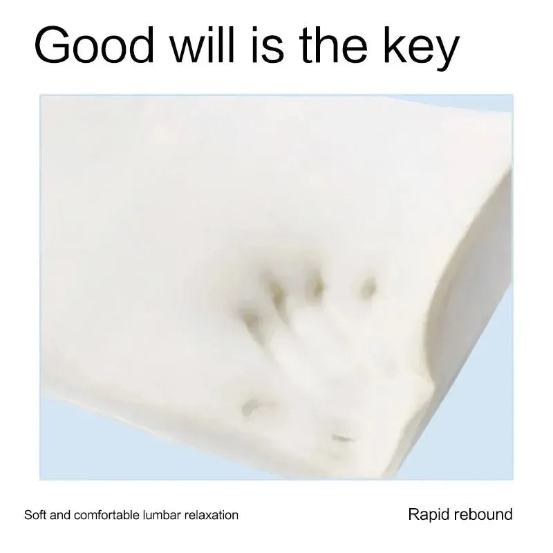 Memory Foam Lumbar Support Pillow for Office Chair and Car – Breathable Mesh Cover for Back Support and Comfort