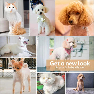 Professional Dog Grooming Clippers Kit with Titanium Ceramic Blades and Adjustable Guide Combs 4