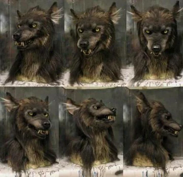 Scary Wolf Mask – Realistic Halloween Costume Mask for Masquerade and Cosplay Events 1