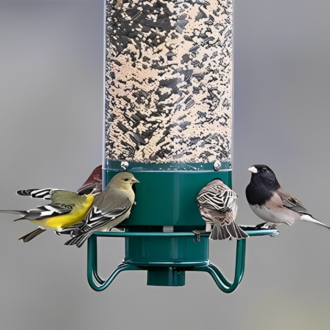 Squirrel-Proof Bird Feeder – Durable Metal Hanging Feeder with Four Ports for Multiple Birds, Weather-Resistant Design 1