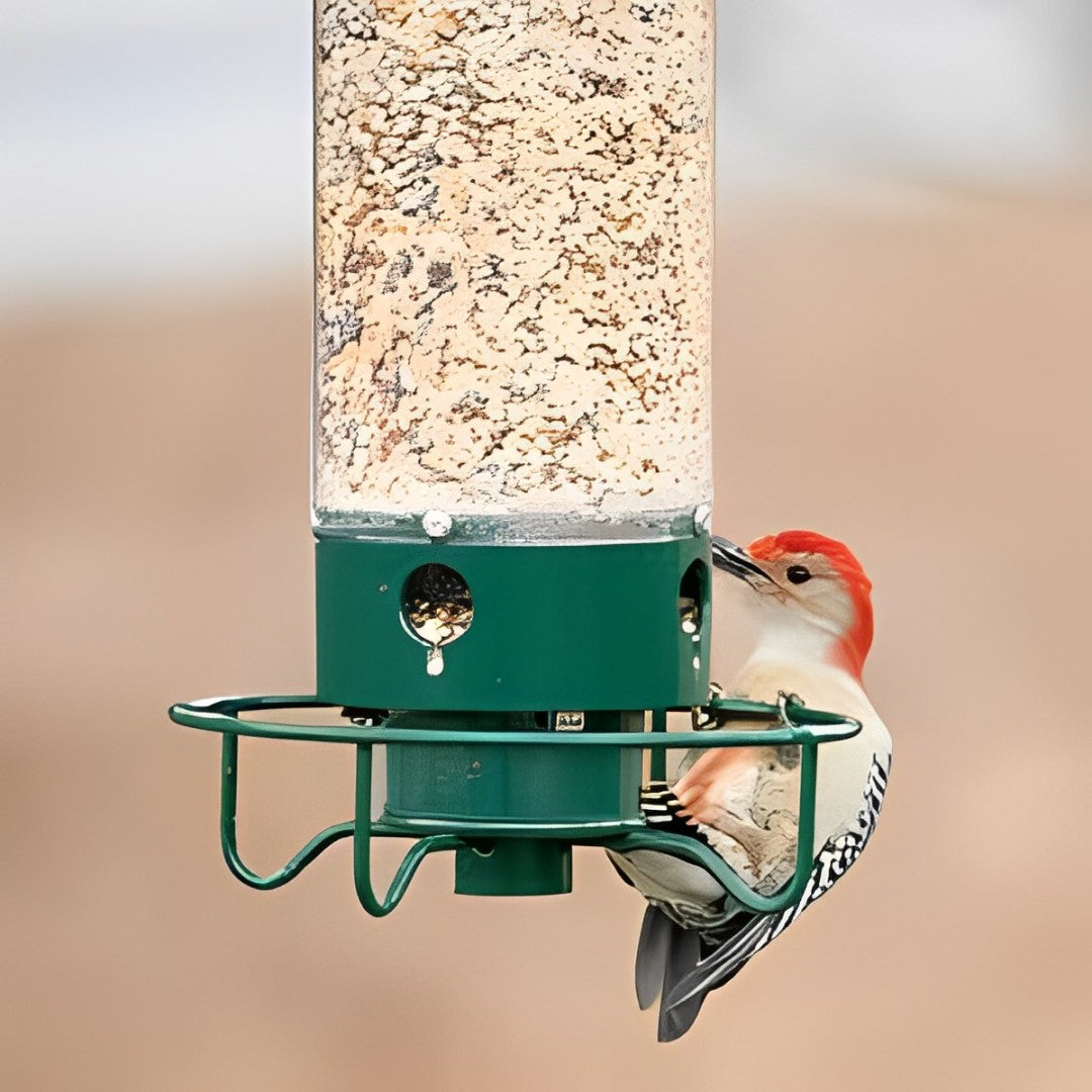 Squirrel-Proof Bird Feeder – Durable Metal Hanging Feeder with Four Ports for Multiple Birds, Weather-Resistant Design 2