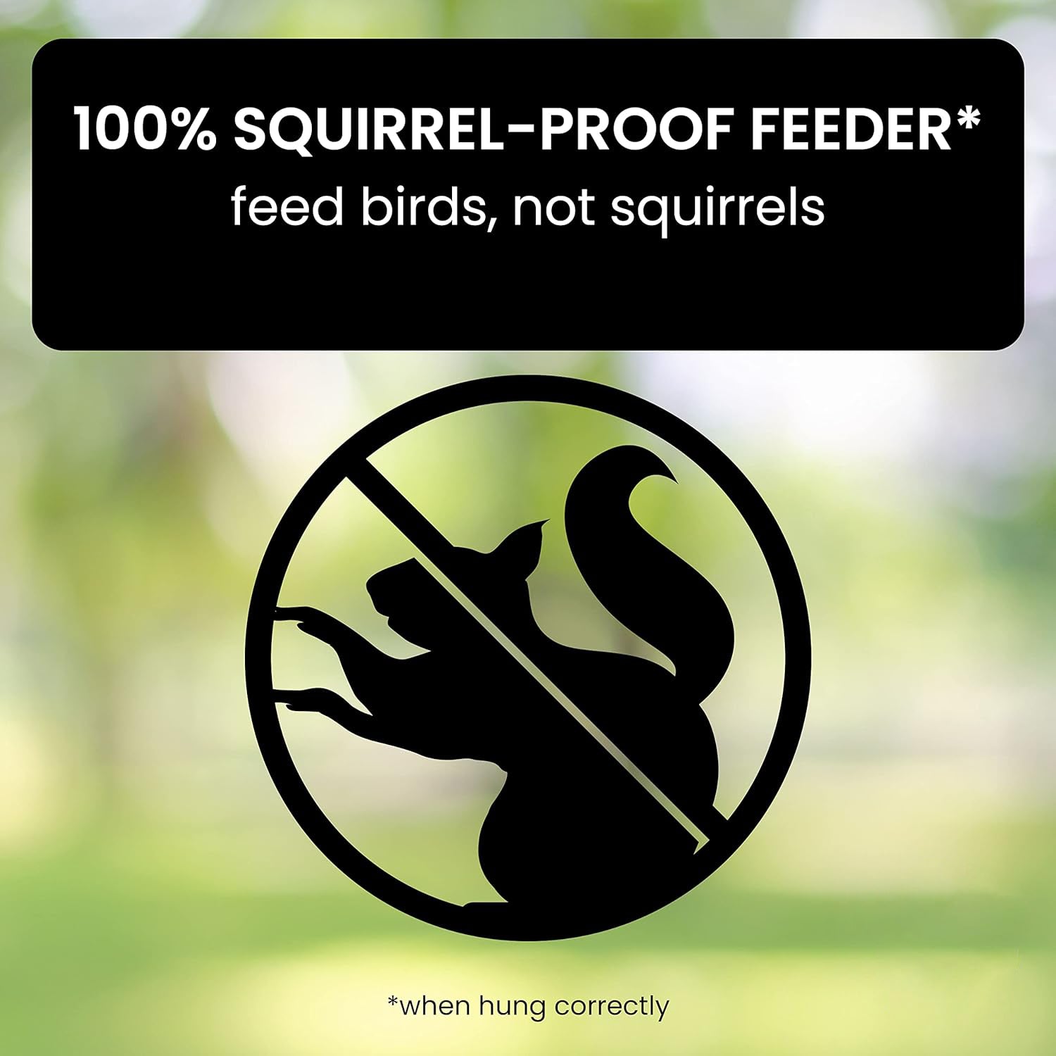 Squirrel-Proof Bird Feeder – Durable Metal Hanging Feeder with Four Ports for Multiple Birds, Weather-Resistant Design 3