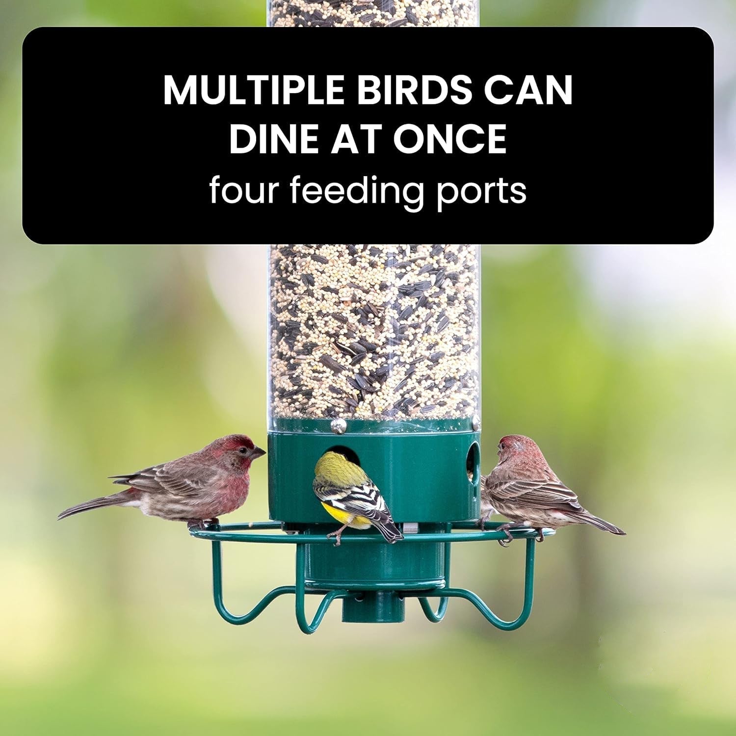Squirrel-Proof Bird Feeder – Durable Metal Hanging Feeder with Four Ports for Multiple Birds, Weather-Resistant Design 4
