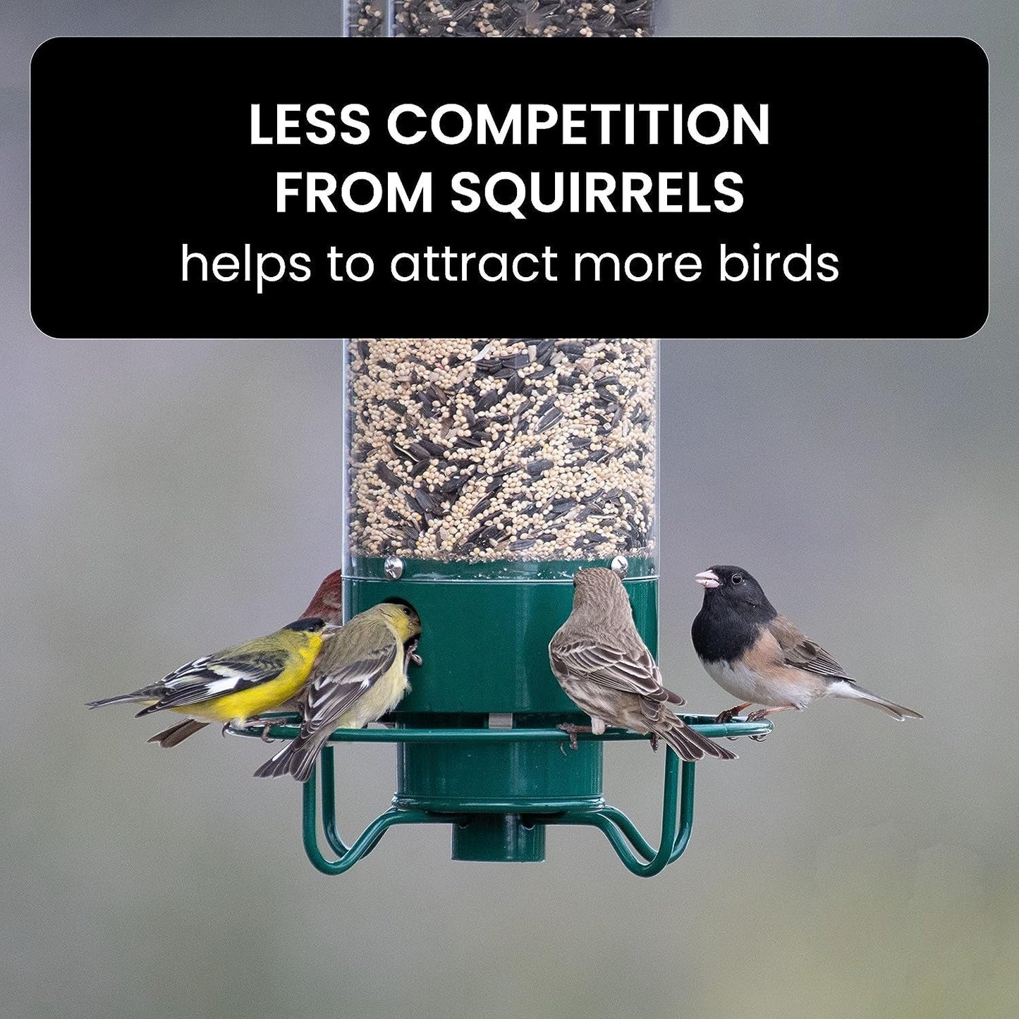 Squirrel-Proof Bird Feeder – Durable Metal Hanging Feeder with Four Ports for Multiple Birds, Weather-Resistant Design 6