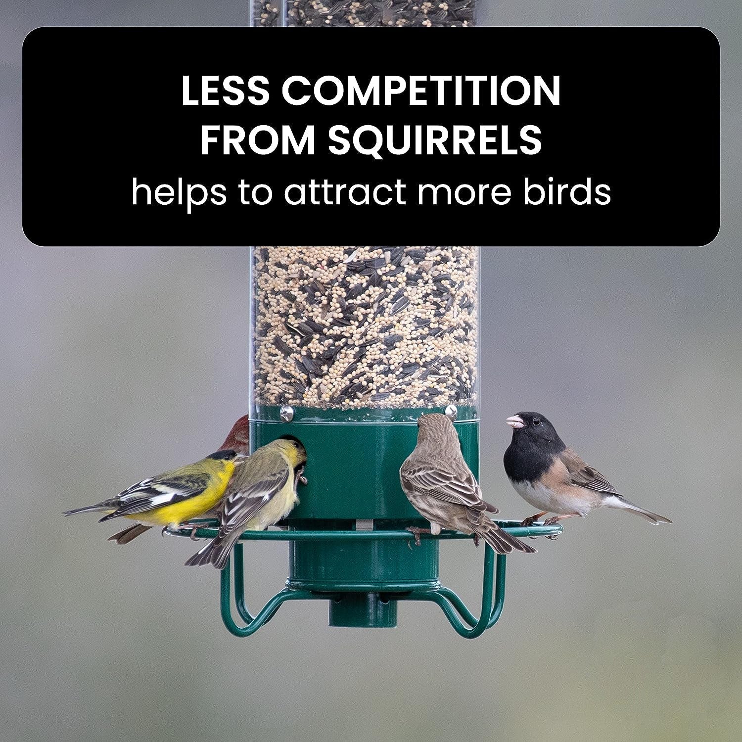 Squirrel-Proof Bird Feeder – Durable Metal Hanging Feeder with Four Ports for Multiple Birds, Weather-Resistant Design 6