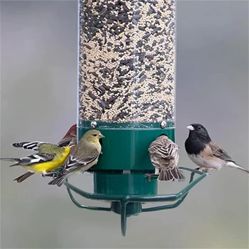 Squirrel-Proof Bird Feeder with Large Seed Reservoir and Sturdy Metal Construction 1