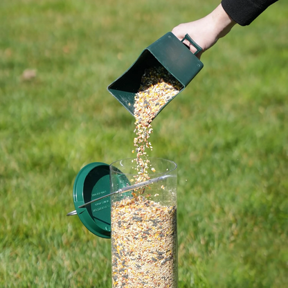 Squirrel-Proof Bird Feeder with Large Seed Reservoir and Sturdy Metal Construction 2