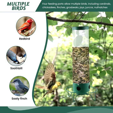 Squirrel-Proof Bird Feeder with Large Seed Reservoir and Sturdy Metal Construction 4