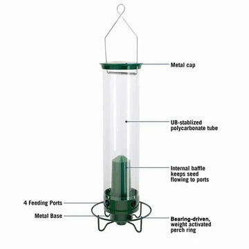 Squirrel-Proof Bird Feeder with Large Seed Reservoir and Sturdy Metal Construction 7