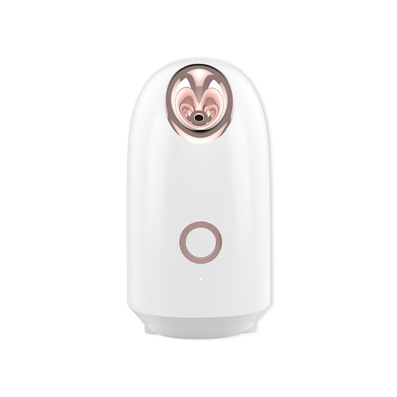 TRUZENIC Nano-Ionic Face Steamer