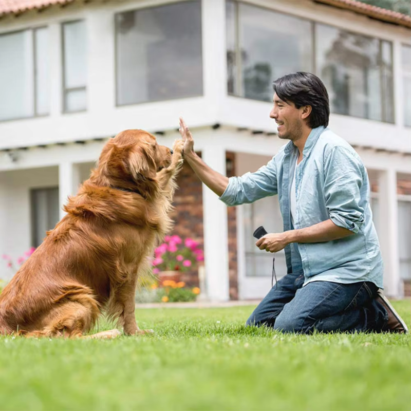 Ultrasonic Anti Barking Device with Laser Functionality – Portable Dog Bark Control Solution 4