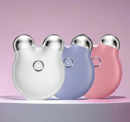 EMS Facial Massager – Portable Microcurrent Beauty Tool with Dual Rollers for Daily Skincare-TRUZENIC