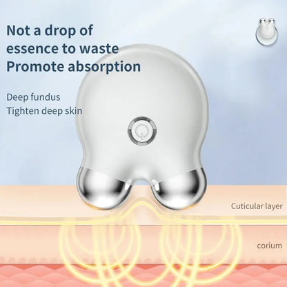 EMS Facial Massager – Portable Microcurrent Beauty Tool with Dual Rollers for Daily Skincare-TRUZENIC