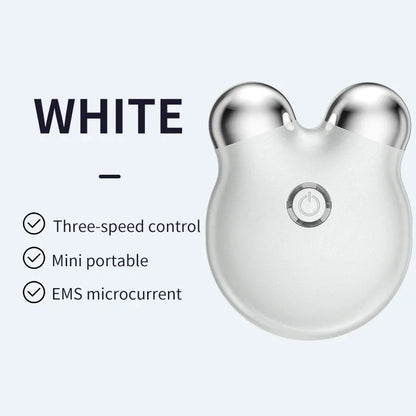 EMS Facial Massager – Portable Microcurrent Beauty Tool with Dual Rollers for Daily Skincare-TRUZENIC