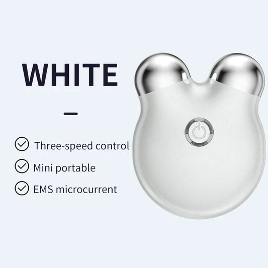 EMS Facial Massager – Portable Microcurrent Beauty Tool with Dual Rollers for Daily Skincare-TRUZENIC